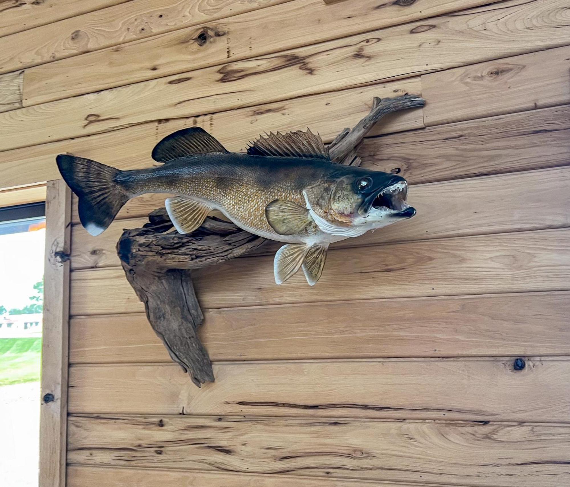Walleye Inn Baudette Екстер'єр фото